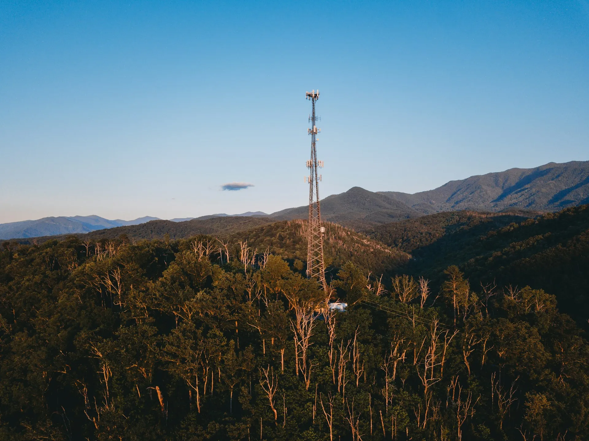 Torre de telecomunicações no meio de uma floresta em área montanhosa
