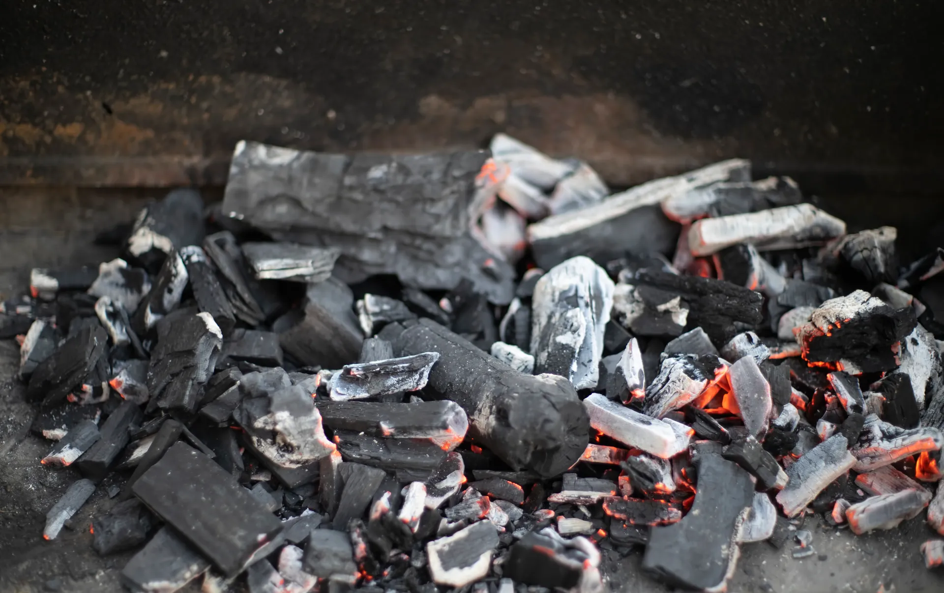 Carvão vegetal em brasa saindo de um forno de carbonização